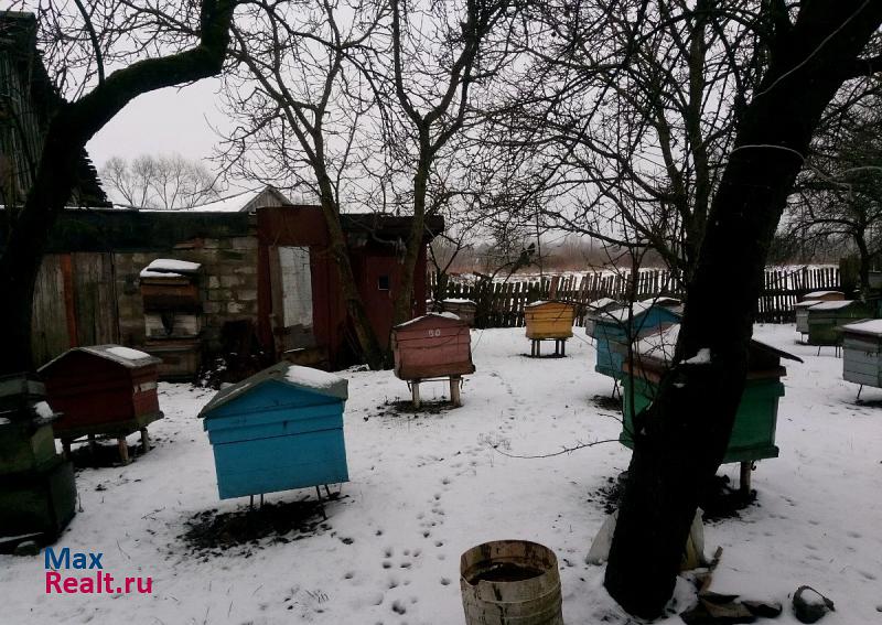 Краснознаменск поселок Петропавловское продажа частного дома