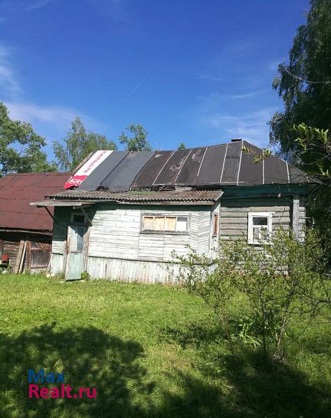 Некрасовское Некрасовский район, деревня Берёзки дом