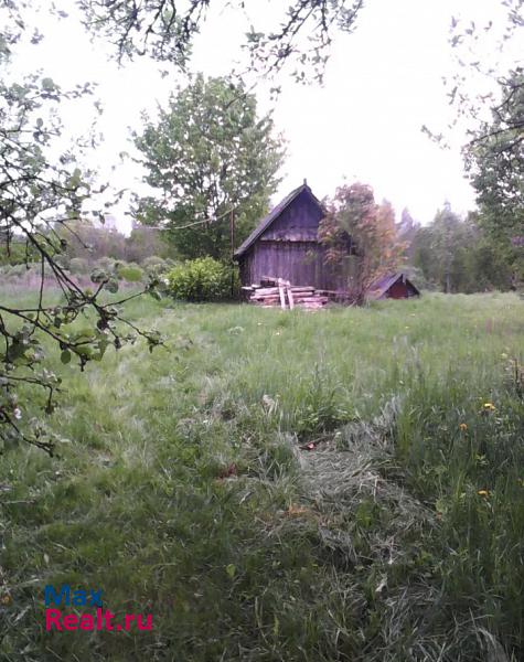 Торопец деревня Ольховка продажа частного дома
