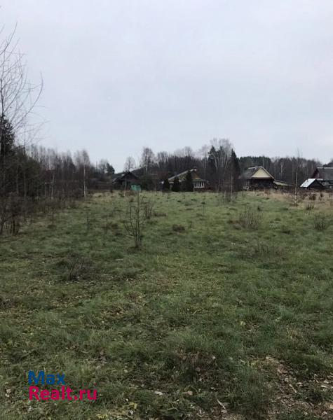 Городец поселок Конево дом