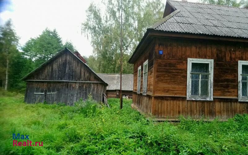 Ельня деревня Шарапово дом