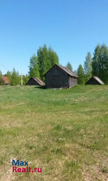 Крестцы Новгородская область. Деревня курино продажа частного дома