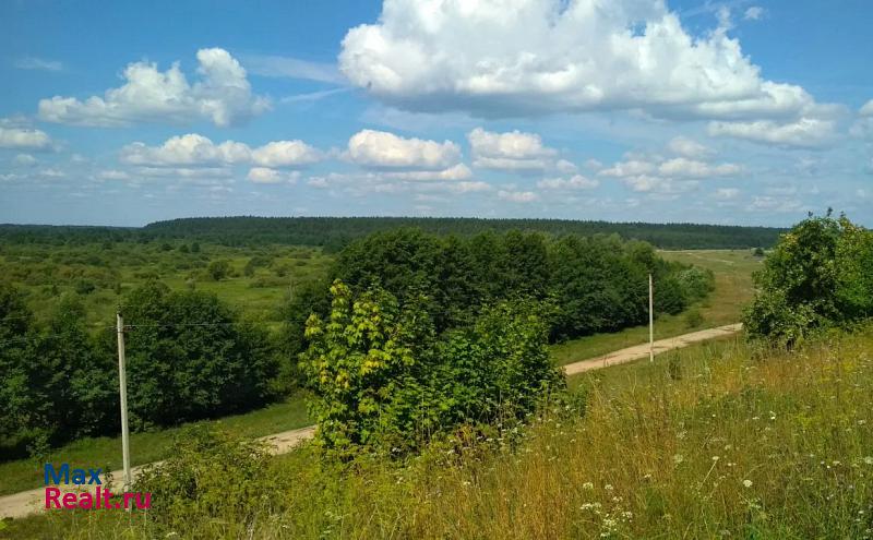 Касимов посёлок городского типа Гусь-Железный, Ленинская улица дом