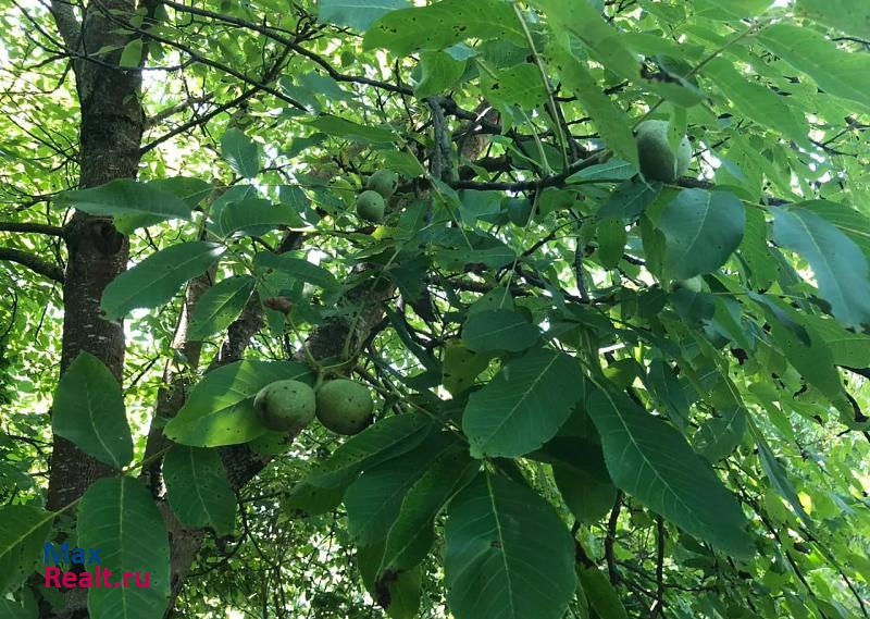 Горячий Ключ городской округ Горячий Ключ, село Безымянное продажа частного дома