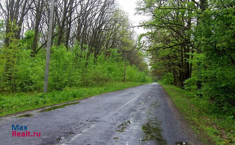 Коренево Россия, Кореневский район, село Краснооктябрьское дом