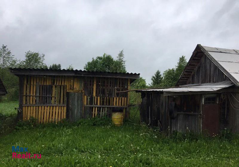 Плюсса деревня Малые Льзи продажа частного дома