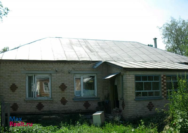 Спасск-Рязанский деревня Аргамаково, Луговая улица дом
