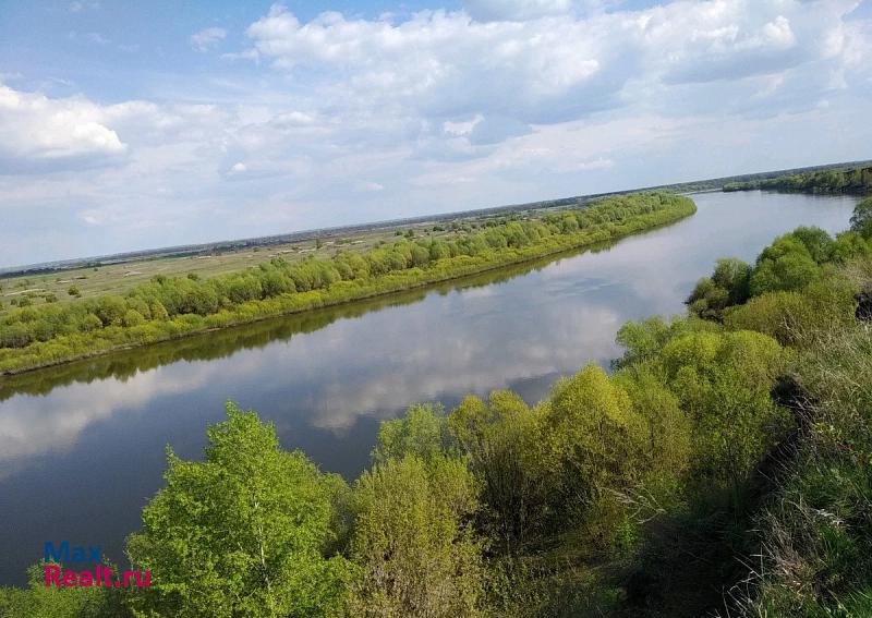 Спасск-Рязанский село Троица дом