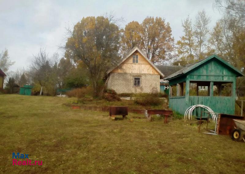 Палкино деревня Бехтерево продажа частного дома