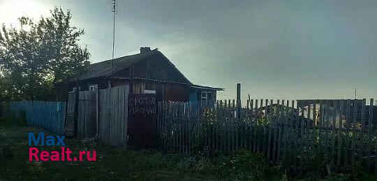 Омск село Новомосковка, Омский район продажа частного дома