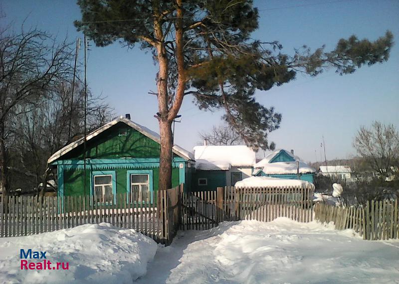Марьяновка село Пикетное, улица Чкалова, 9 продажа частного дома