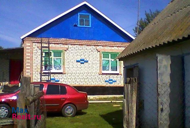 Петропавловка село Старотолучеево дом купить