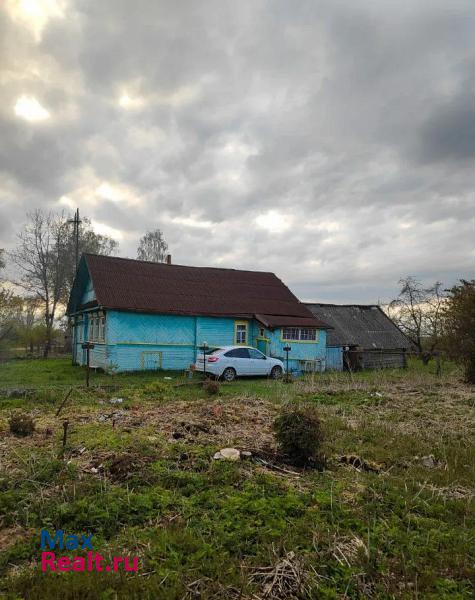 Сольцы деревня Невское продажа частного дома