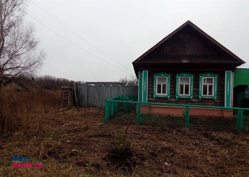 Спасское деревня Большая Александровка, Луговая улица, 38 продажа частного дома