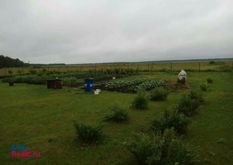 Аргаяш деревня Малая Усманова, Озёрная улица дом купить