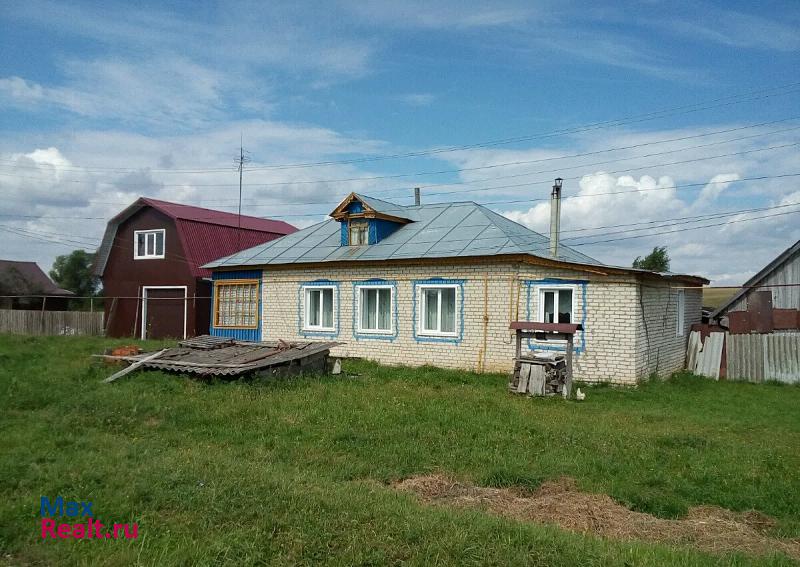 Лукоянов село Шандрово, Новая улица дом купить