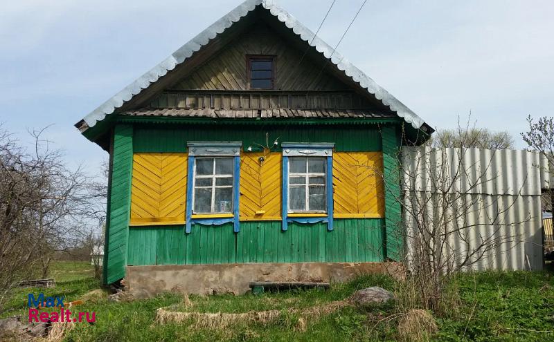 Пустошка деревня Шилово дом купить