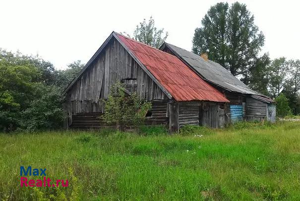 Муромцево деревня Колесня продажа частного дома