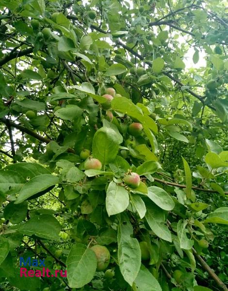 Хлевное поселок Воронежская Лозовка, Центральная улица дом купить