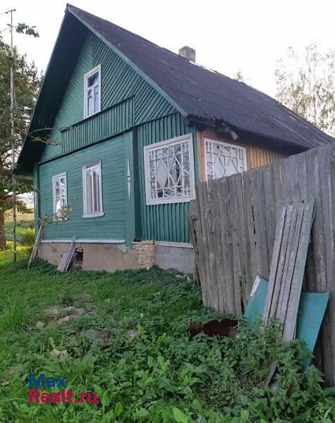 Печоры деревня Лесицко продажа частного дома