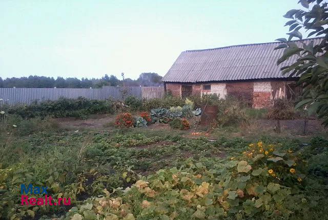 Новохоперский село Красное, Заводская улица дом купить