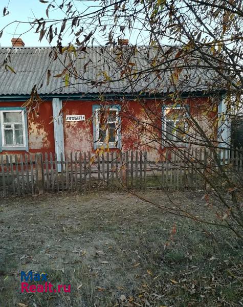 Злынка посёлок городского типа Вышков, Луговая улица продажа частного дома