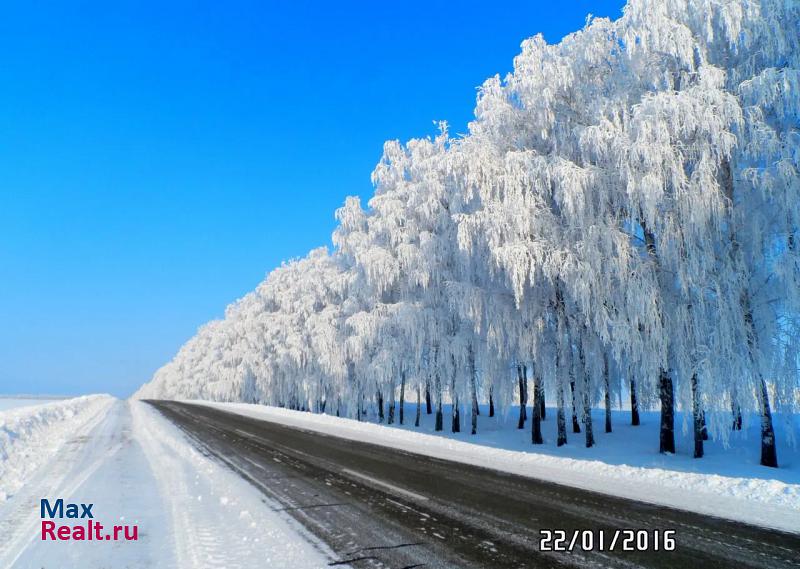 Коренево Россия, Кореневский район, село Краснооктябрьское дом купить