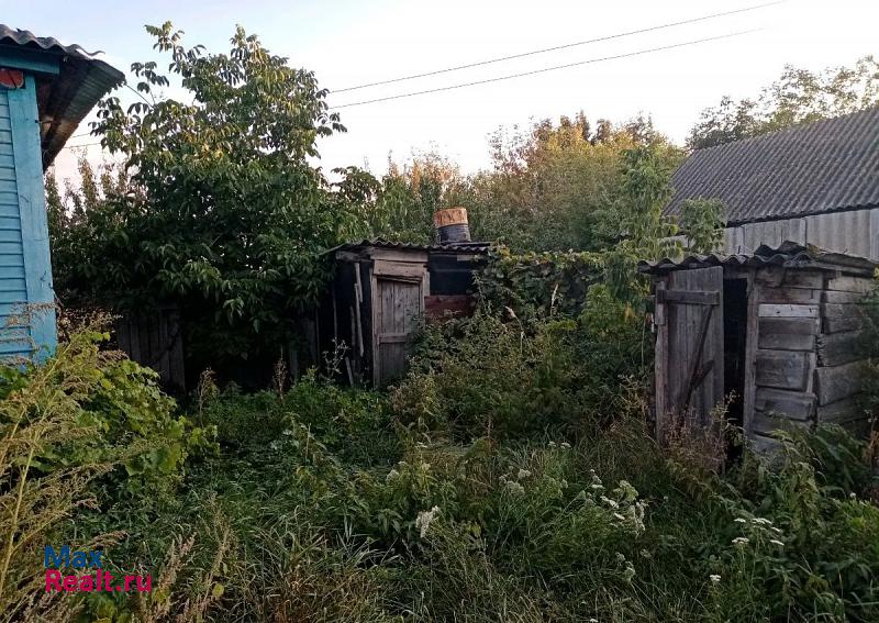 Репьевка Белгородская область, село Сетище дом купить