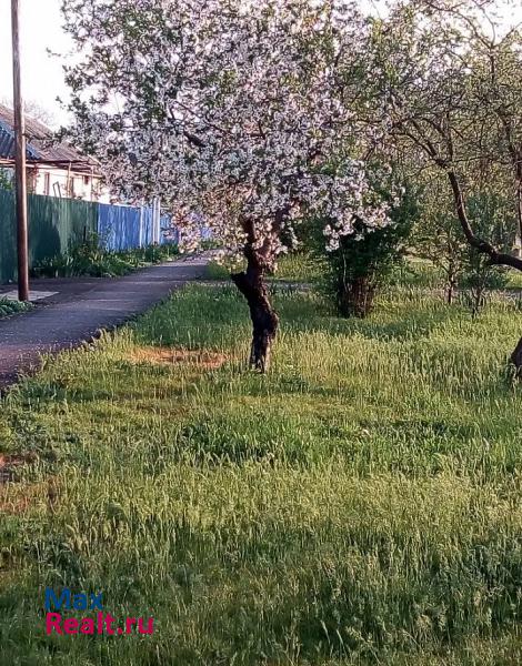 поселок Щелкан, улица Ленина Новоселицкое купить квартиру