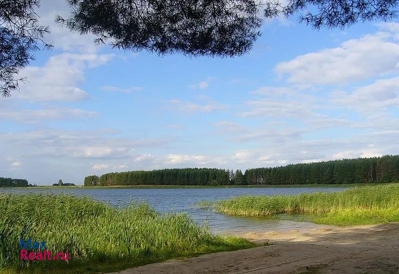 Спасск-Рязанский Рязанская область Спасск-Рязанский с.Киструс дом купить