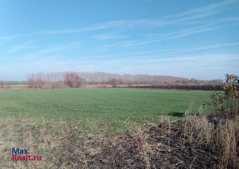 Каширское село Красный Лог, Северная улица дом купить