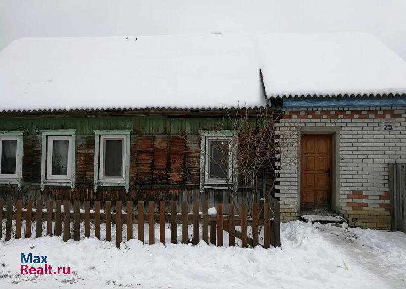Ржаница село Домашово, Центральная улица, 29 продажа частного дома