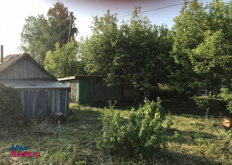 Большое Мурашкино село Кишкино, Юбилейная улица продажа квартиры