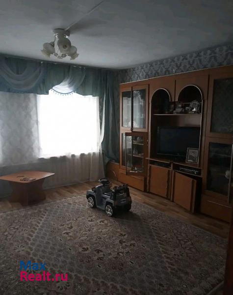 Алтайское село Нижнекаменка продажа частного дома