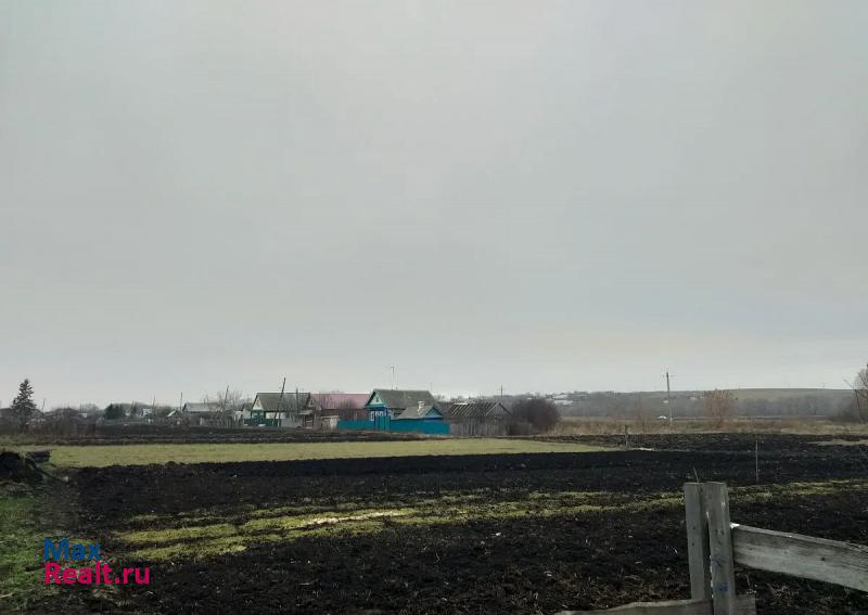 Арск Качелинское сельское поселение, село Качелино, Трудовая улица дом купить