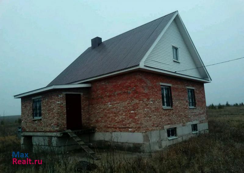 Альметьевск село Бикасаз дом купить
