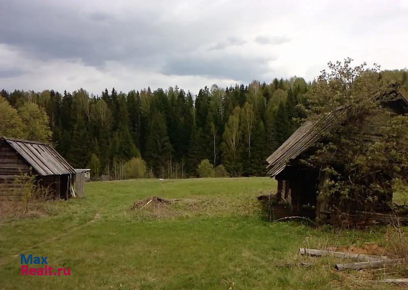 Якшур-Бодья д.  Гожмувыр ул.Центральная 36 дом купить