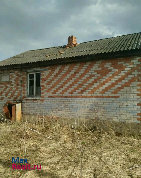 Борисоглебский деревня Никиткино дом купить
