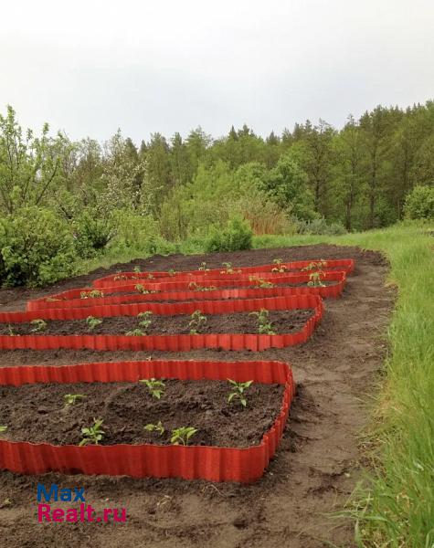 Тереньга Скугареевка, ул Лесная, 18 дом купить