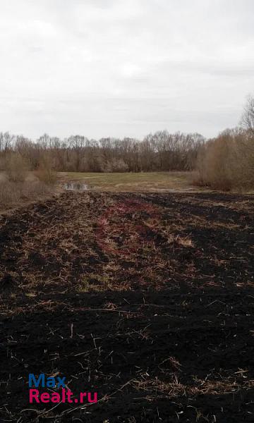 Тербуны Воронежская область, Семилукский район, село Берёзовка, Заречная улица дом