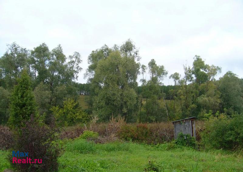 Каракулино Удмуртская Республика, село Чеганда, Сальинская улица дом купить