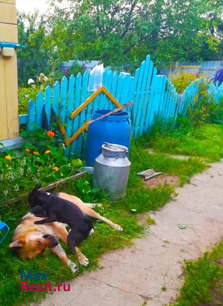 Невель Беларусь, Витебская область, Городокский район, городской посёлок Езерище дом