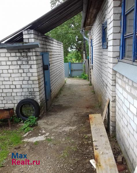 Новосмолинский село Золино продажа частного дома