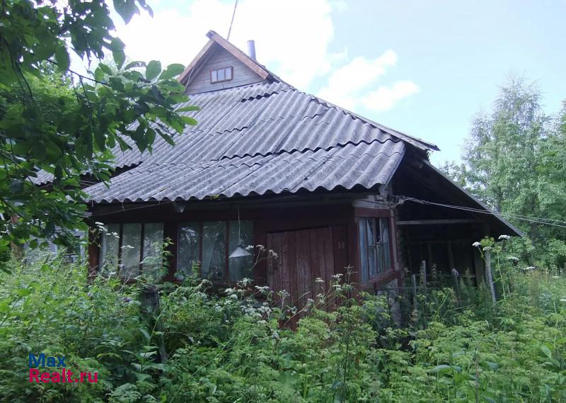 Дедовичи деревня Юрьево дом