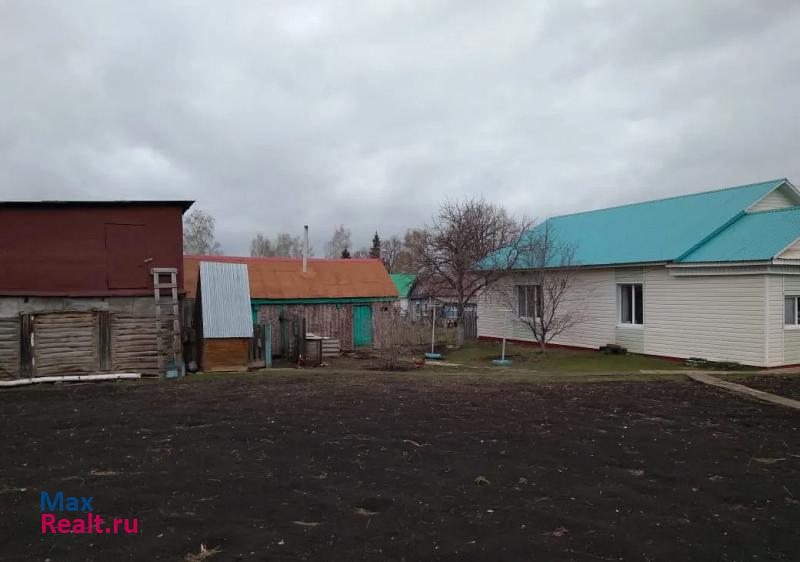 Киргиз-Мияки село Киргиз-Мияки, Крупская улица, 24 дом купить