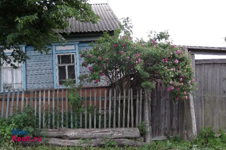 Трубчевск Юровское сельское поселение, село Гнилёво, Центральная улица, 38 дом