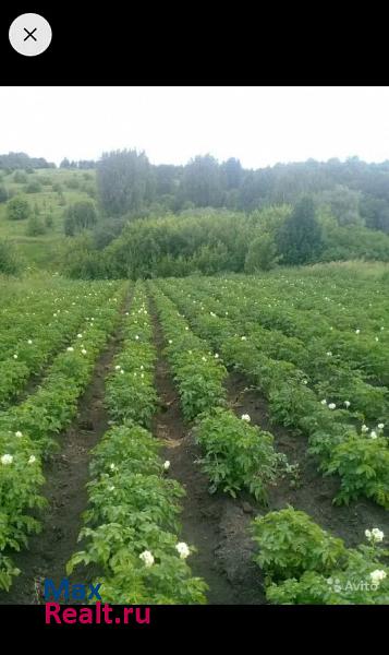 Козловка Республика Татарстан, село Нижние Ураспуги дом