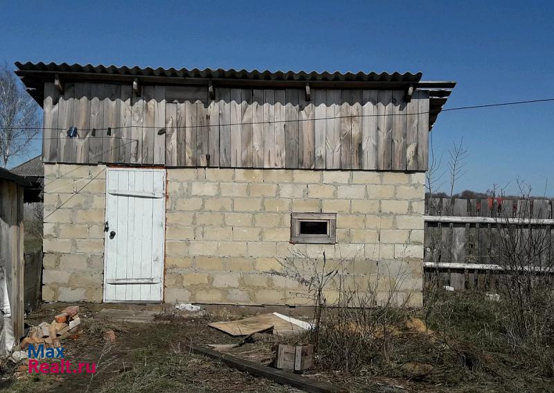 Балашейка Ульяновская область, село Студенец дом купить