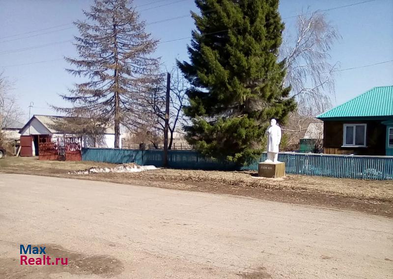 Рубцовск село Новониколаевка дом