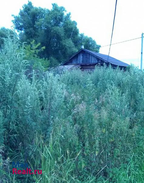 Ижевское село Ижевское, улица Лапушкина дом